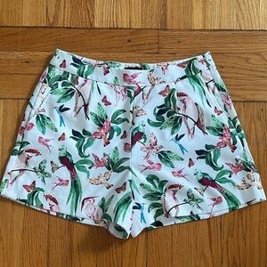 Ann Taylor Tropical Bird Print Shorts Size 6